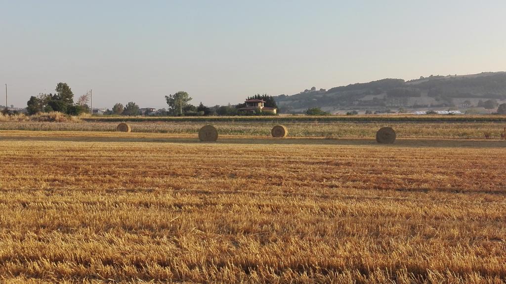 Agriturismo La Vecchia Cascina Di Paolo & Belinda Pietrelcina Exterior foto